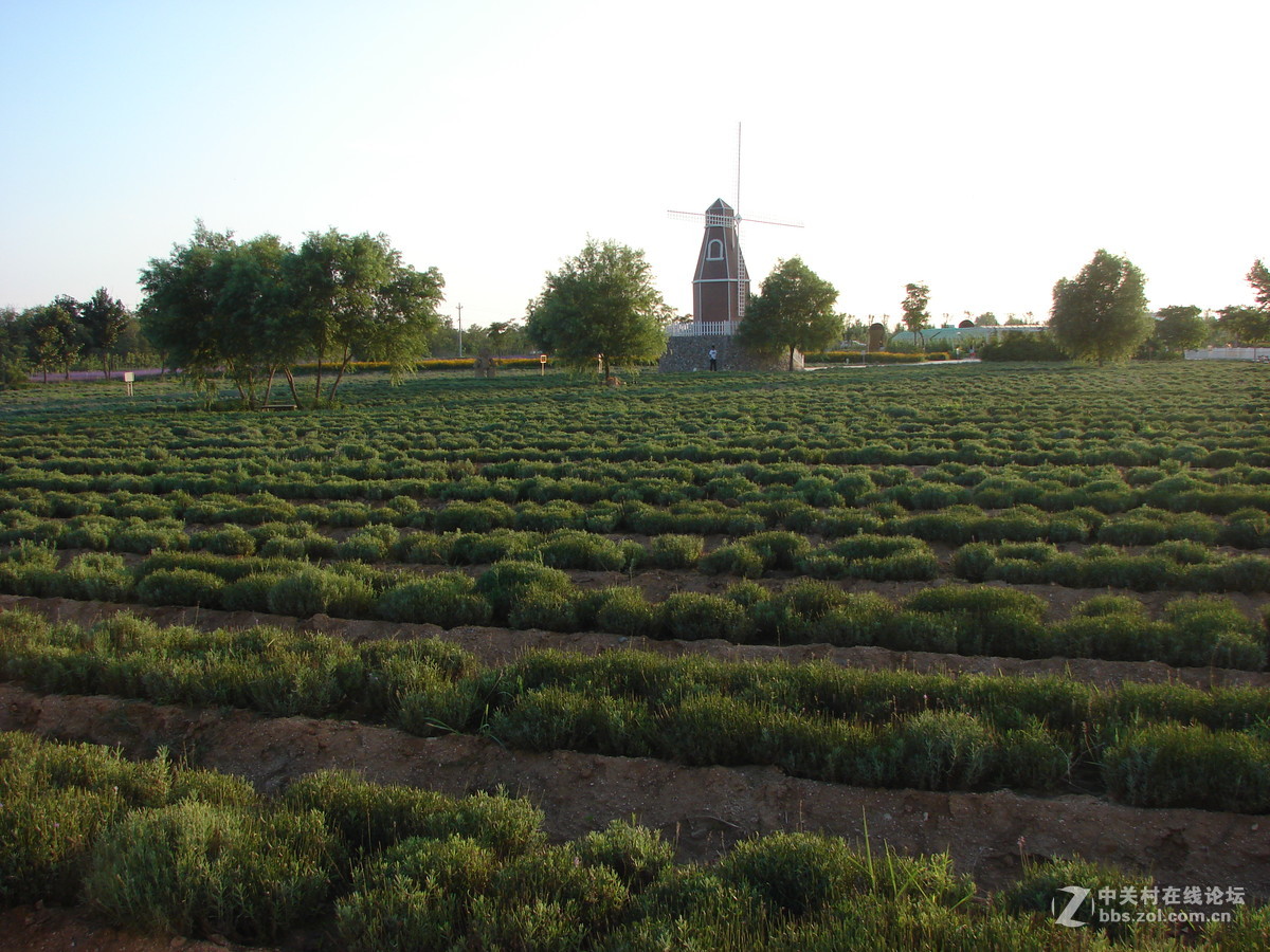 7月16号，北戴河快乐玩~~~~渔岛