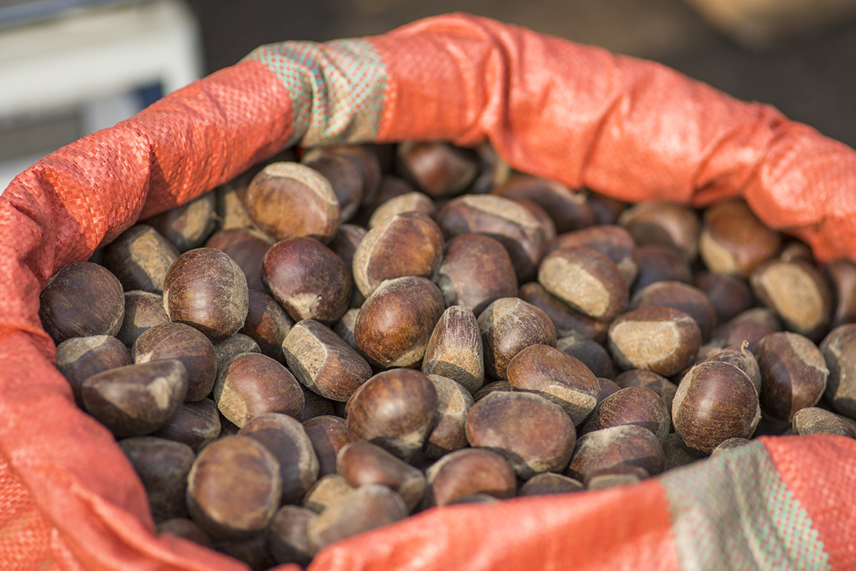 过年 赶农村大集