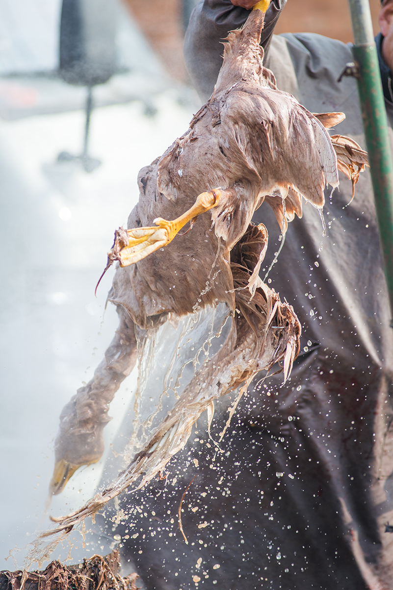 过年 赶农村大集