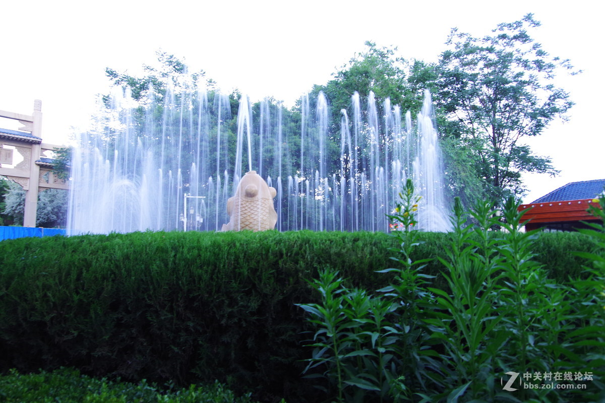 白银要创建全国的卫生文明城市，金鱼公园的亮化工程。