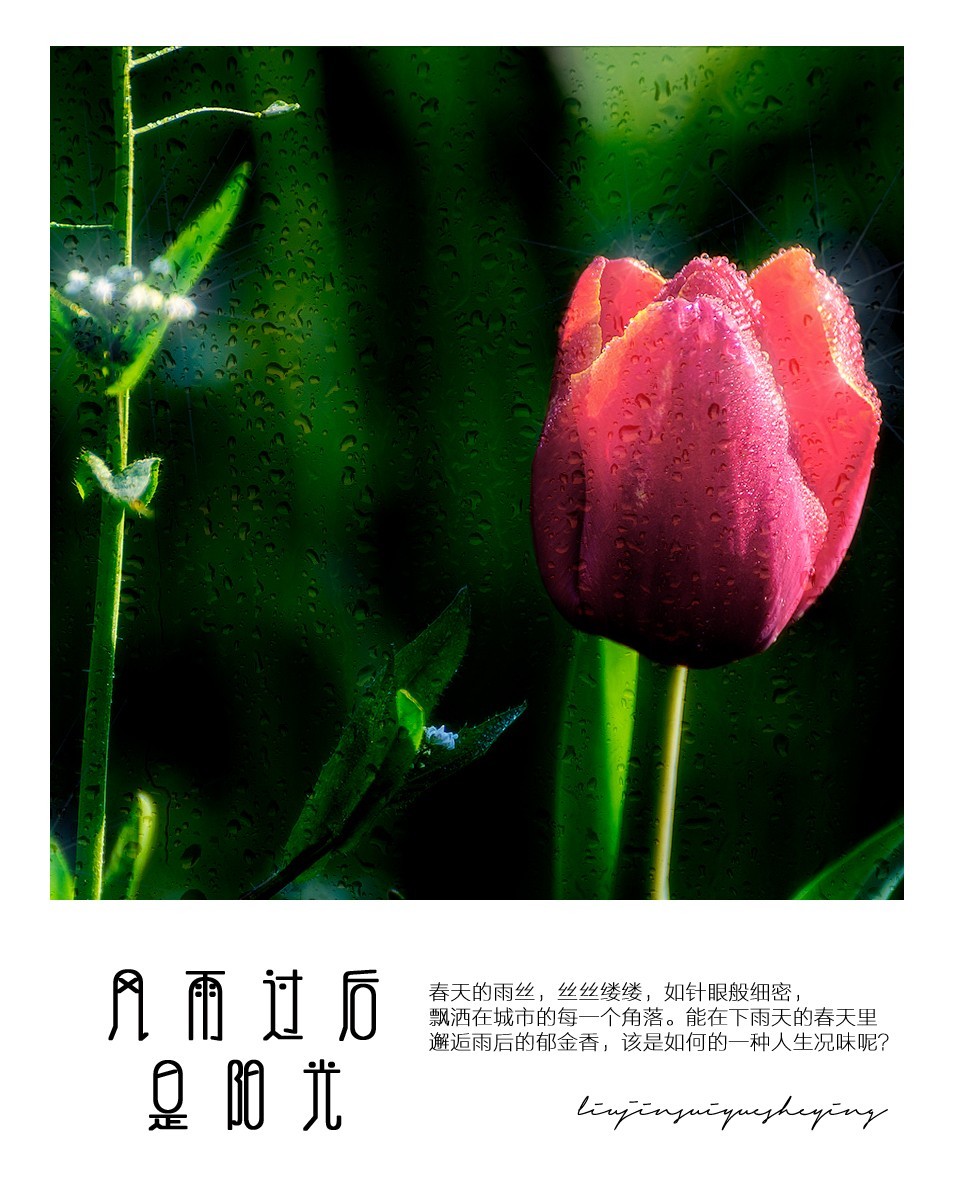 风雨过后是阳光