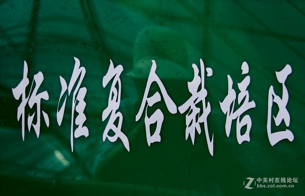 复合栽培