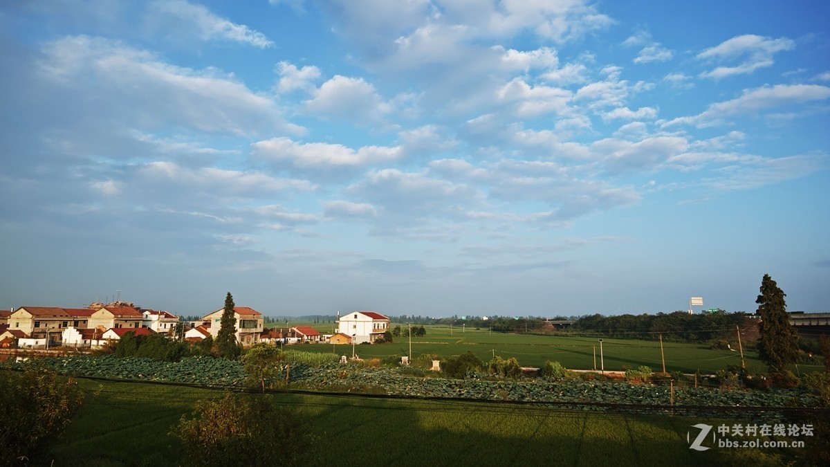 [适马DP0  Quatt]  走进田野
