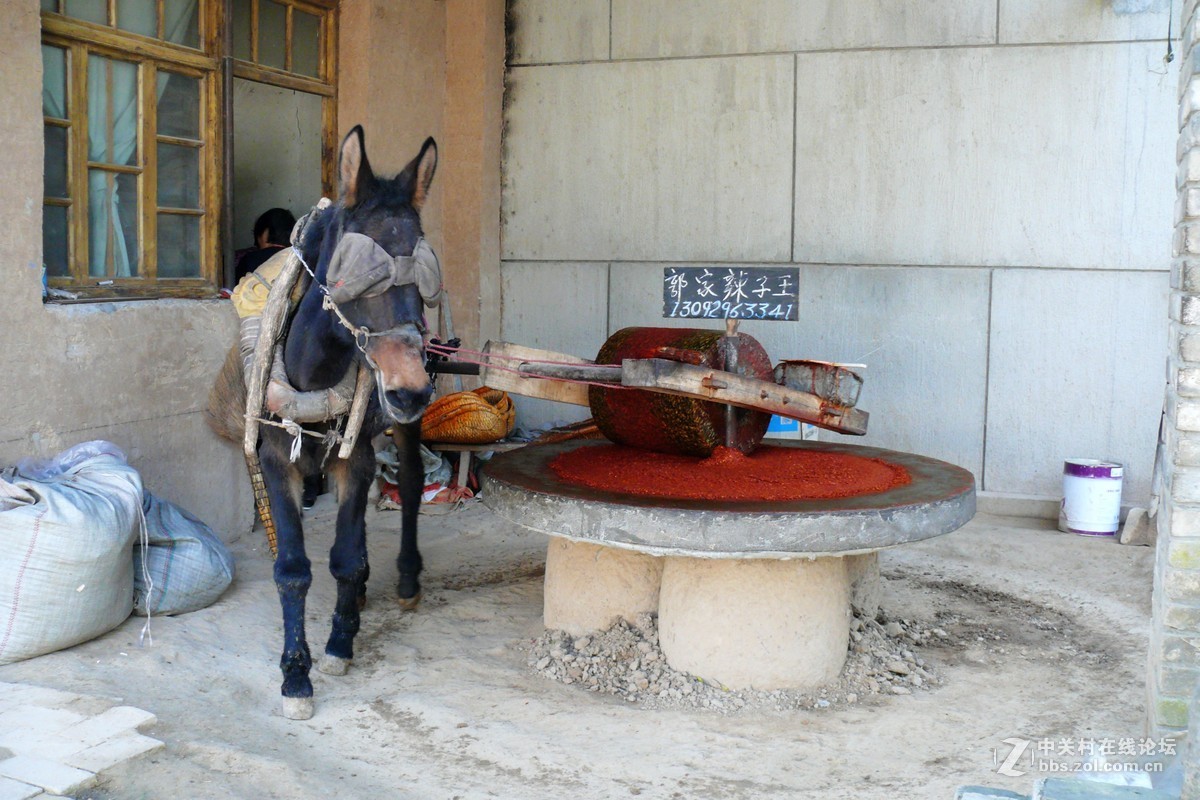 西安市郊，〈袁家村〉