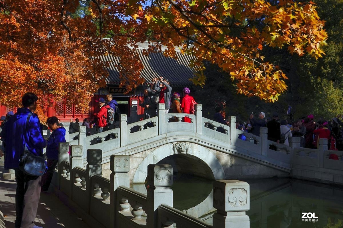 #ZOL月赛晒秋#  魅力香山公园