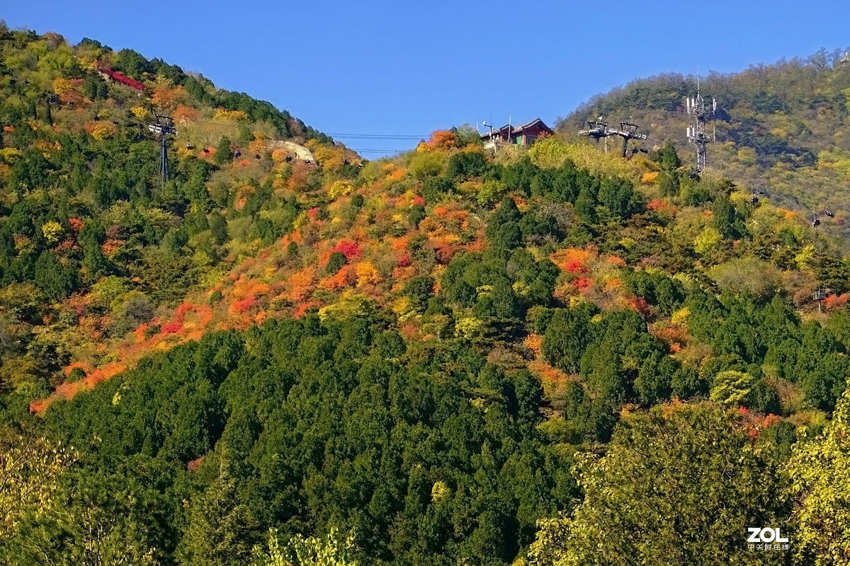 #ZOL月赛晒秋#  魅力香山公园