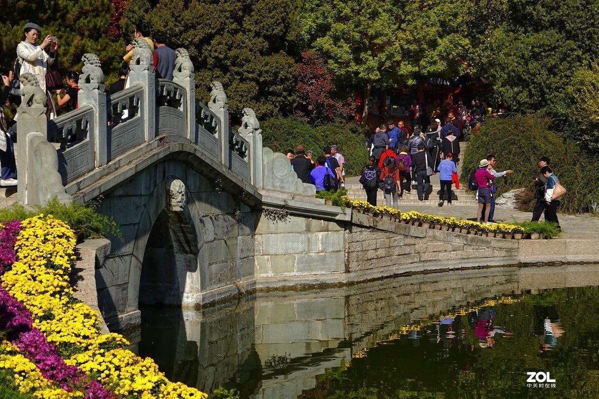 #ZOL月赛晒秋#  魅力香山公园