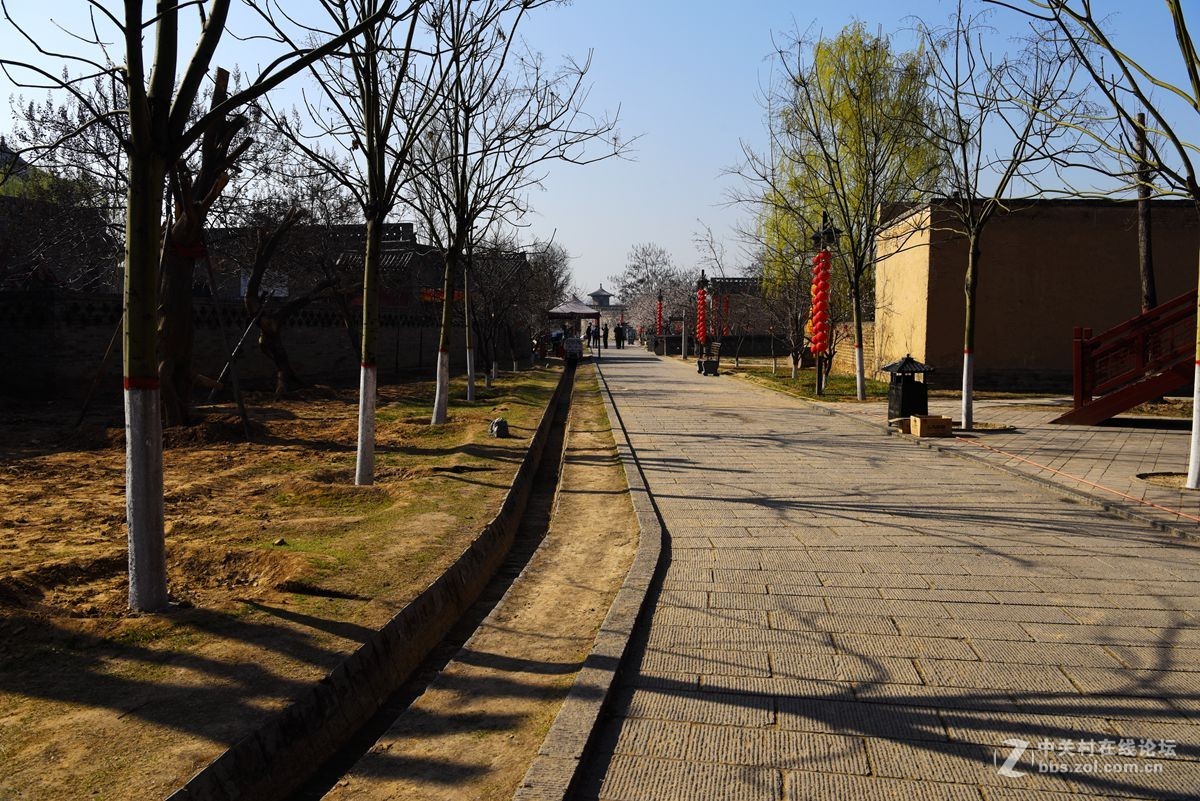 洪洞大槐树（二）