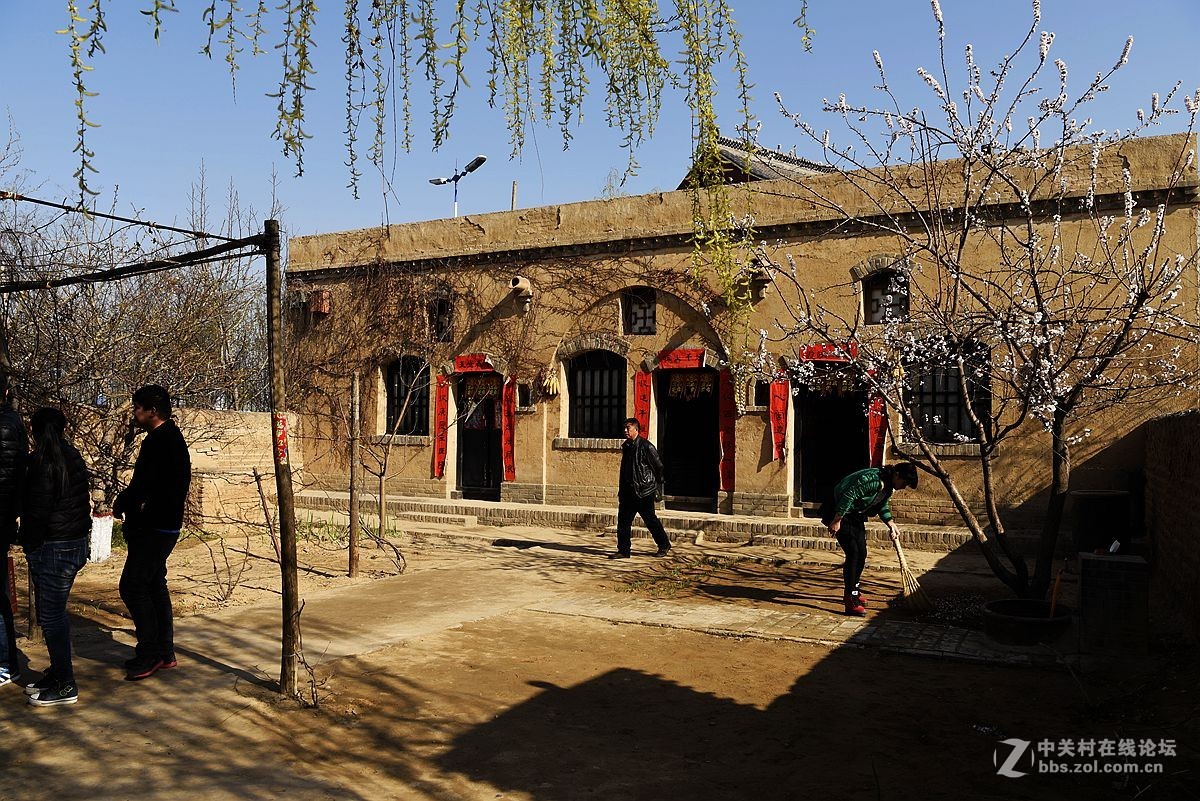 洪洞大槐树（二）