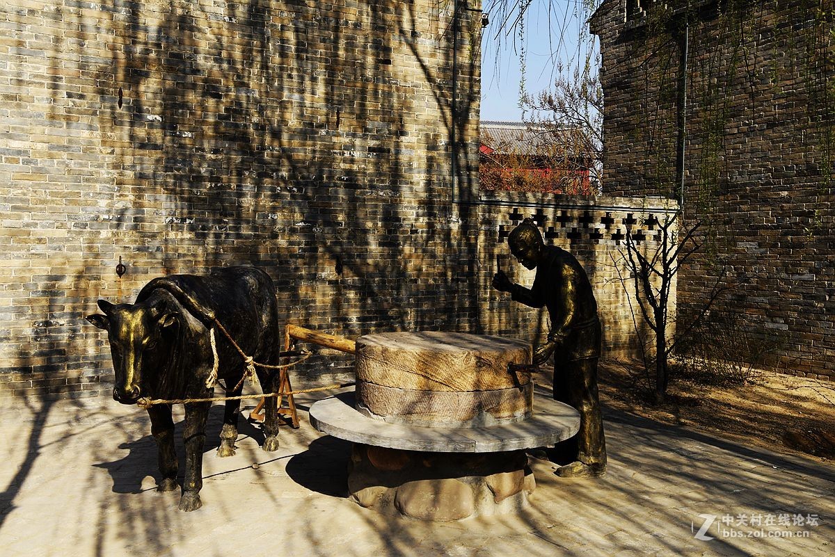 洪洞大槐树（二）