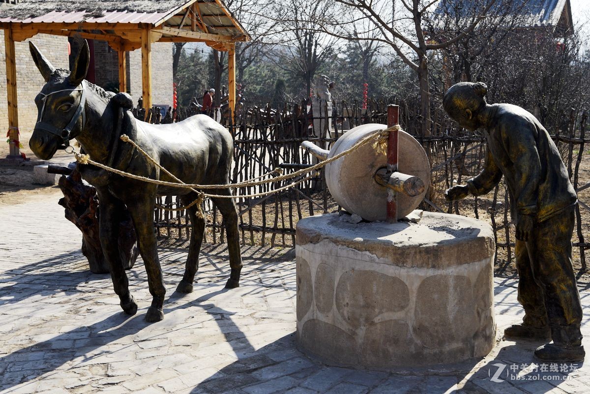 洪洞大槐树（二）