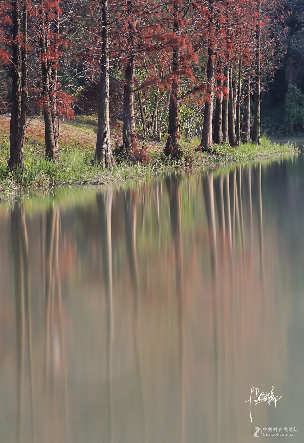 24-70F2.8II午后试拍湖面