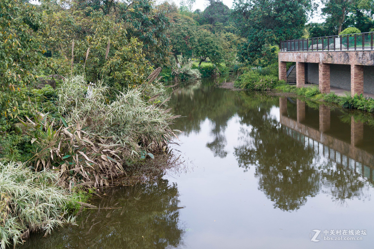 杂集 乱拍 景色人像