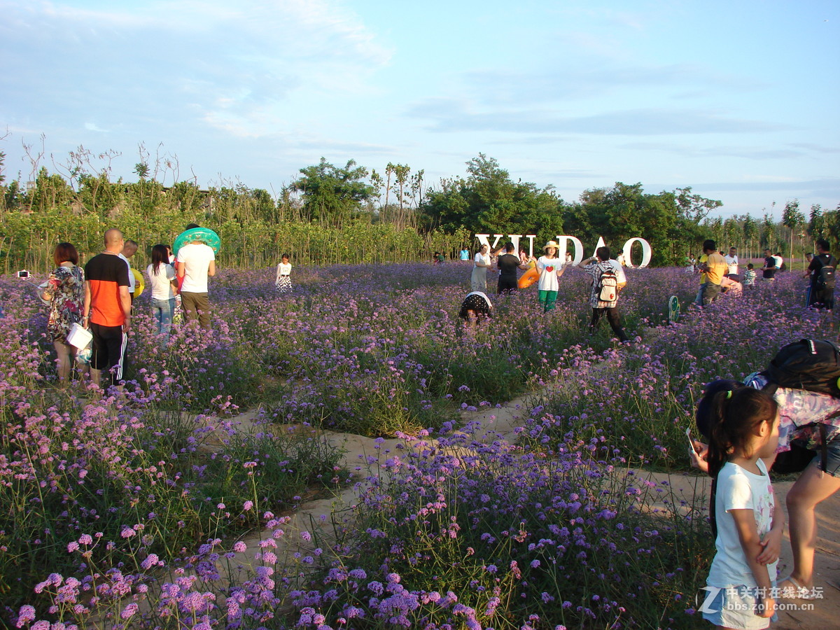 7月16号，北戴河快乐玩~~~~渔岛