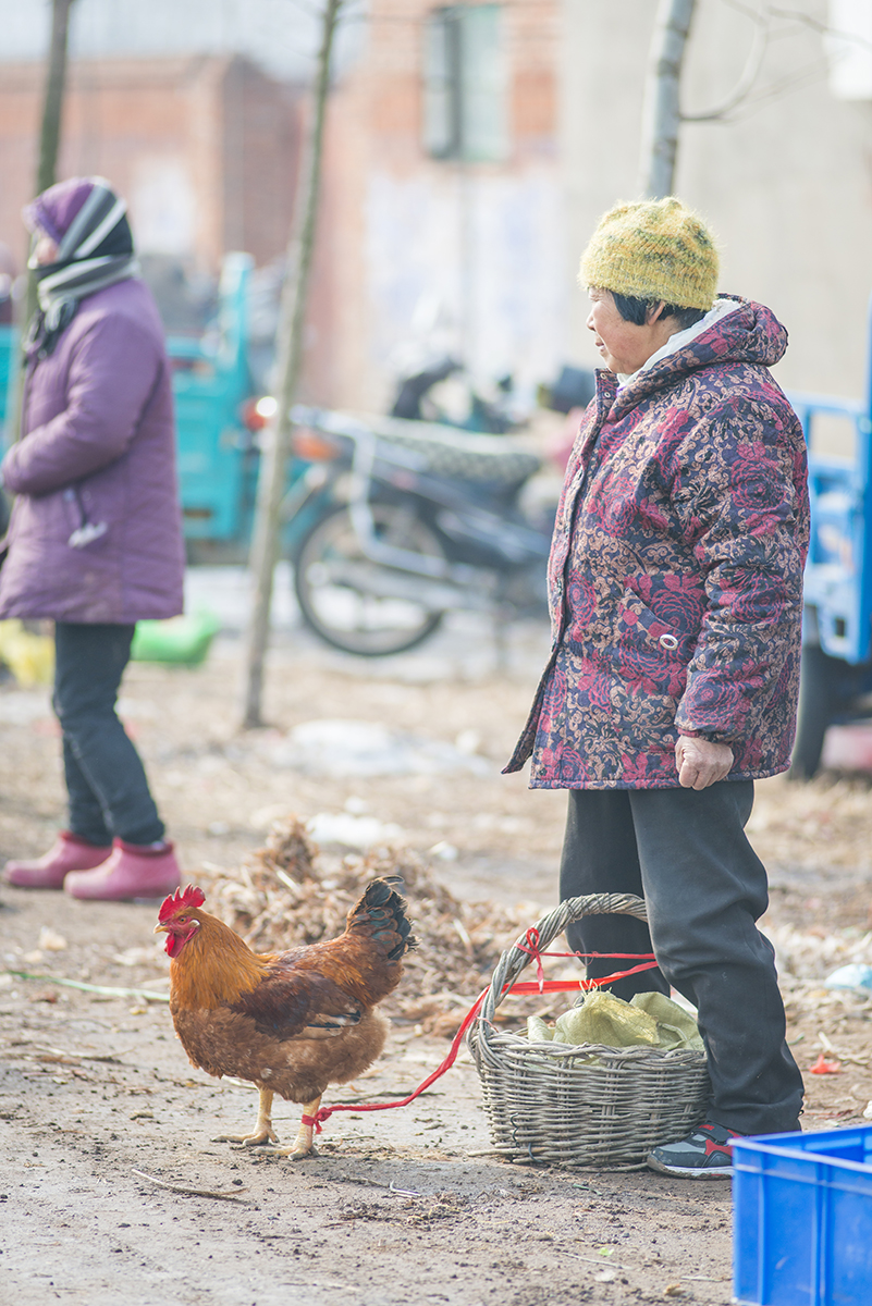 过年 赶农村大集