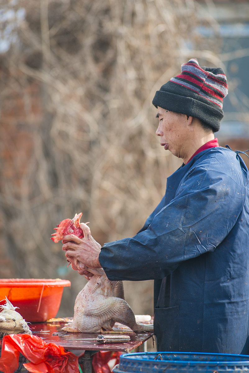 过年 赶农村大集