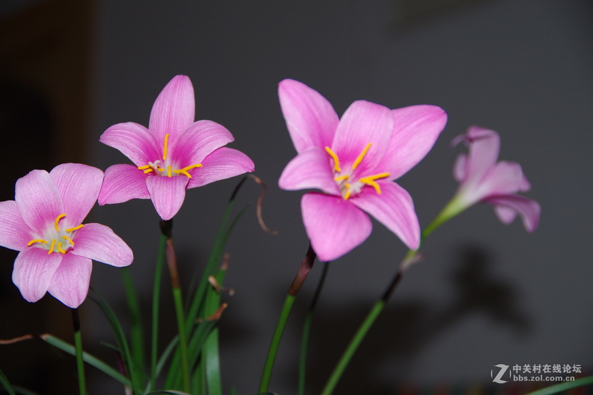 白银要创建全国的卫生文明城市，金鱼公园的亮化工程。