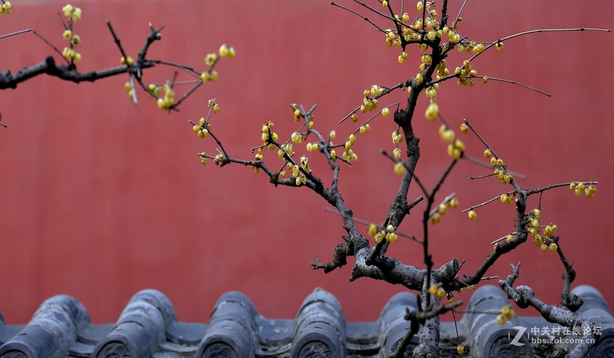 #我的2015摄影总结#【回顾2015（综合篇）】