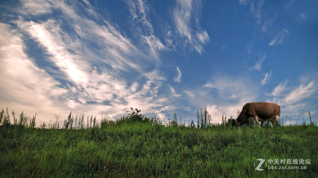 修片新得--家乡风光
