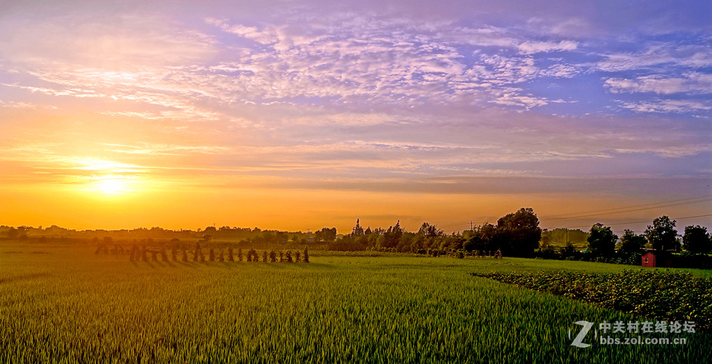 修片新得--家乡风光