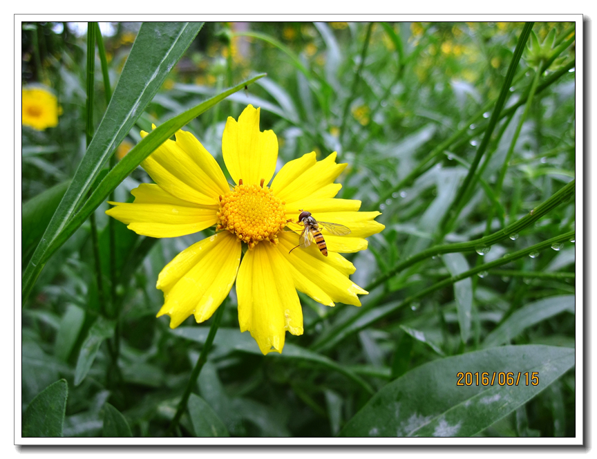 【行行摄摄】好久没用小a了