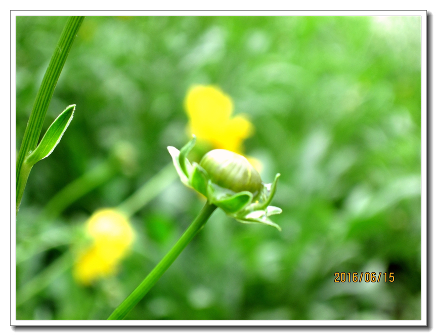 【行行摄摄】好久没用小a了