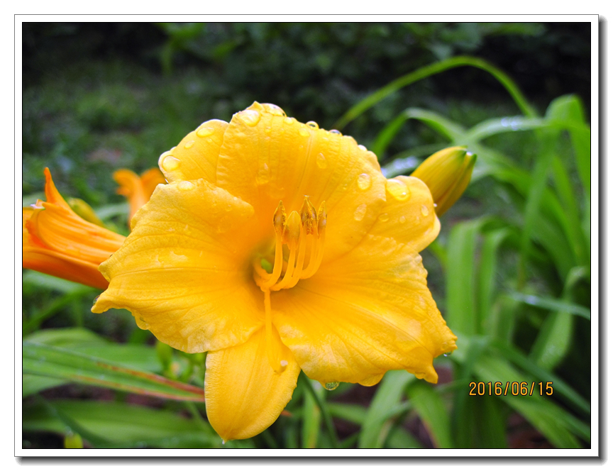 【行行摄摄】好久没用小a了