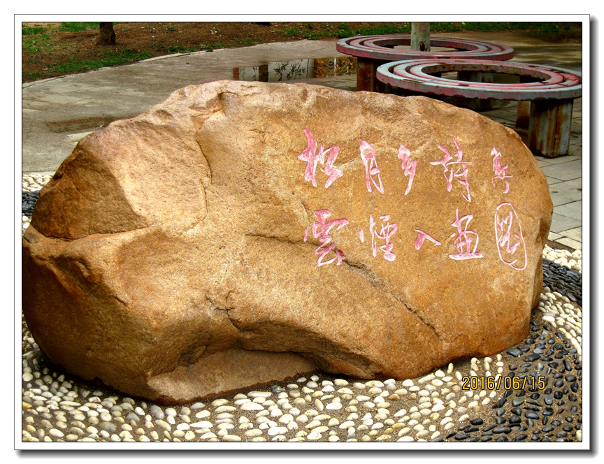 【行行摄摄】好久没用小a了