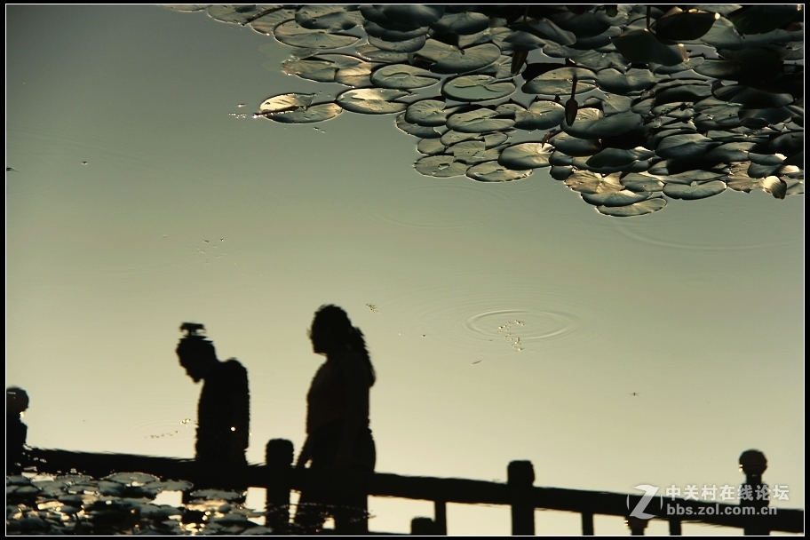 红藕香残玉簟秋