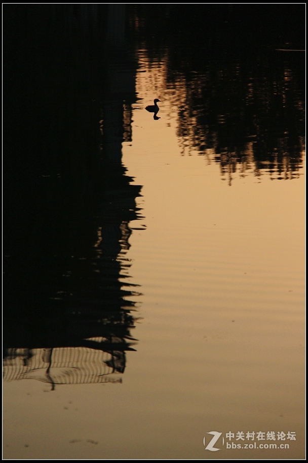 红藕香残玉簟秋