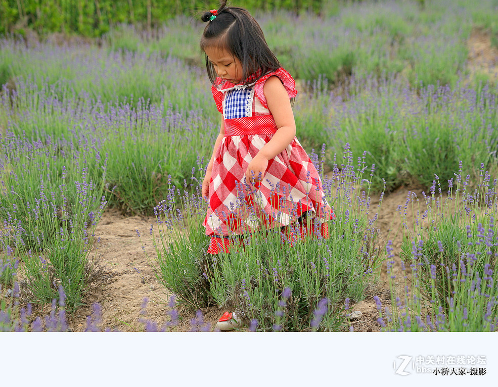 上海香草园的萌娃们