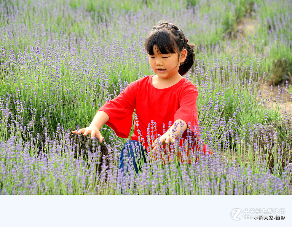 上海香草园的萌娃们