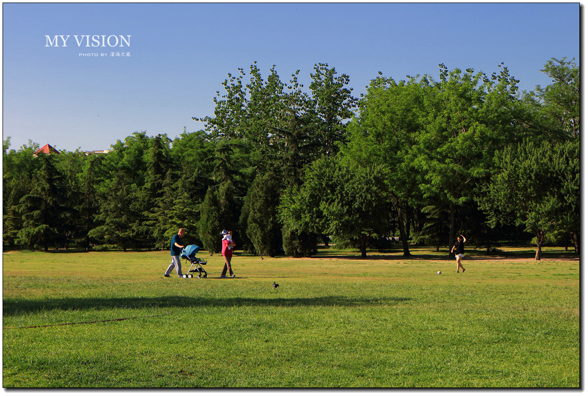 微单随拍【泰丰公园（二）】