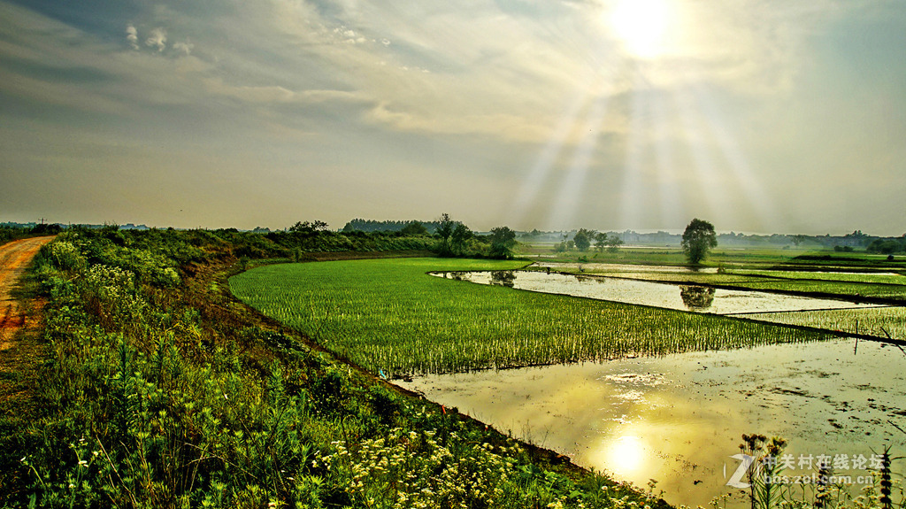 修片新得--家乡风光