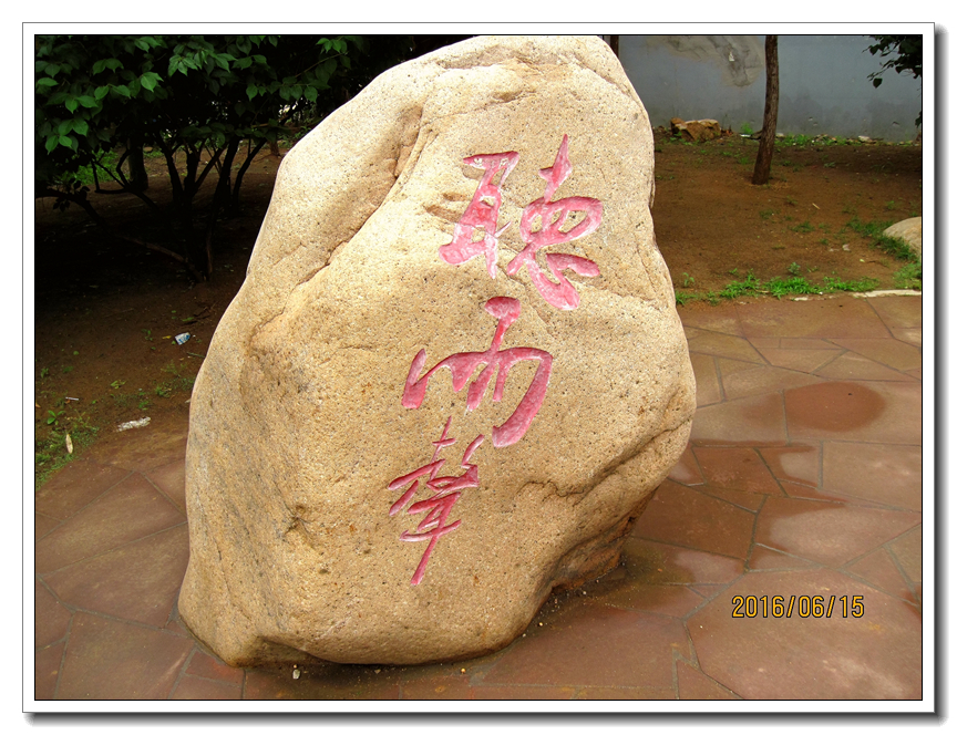 【行行摄摄】好久没用小a了