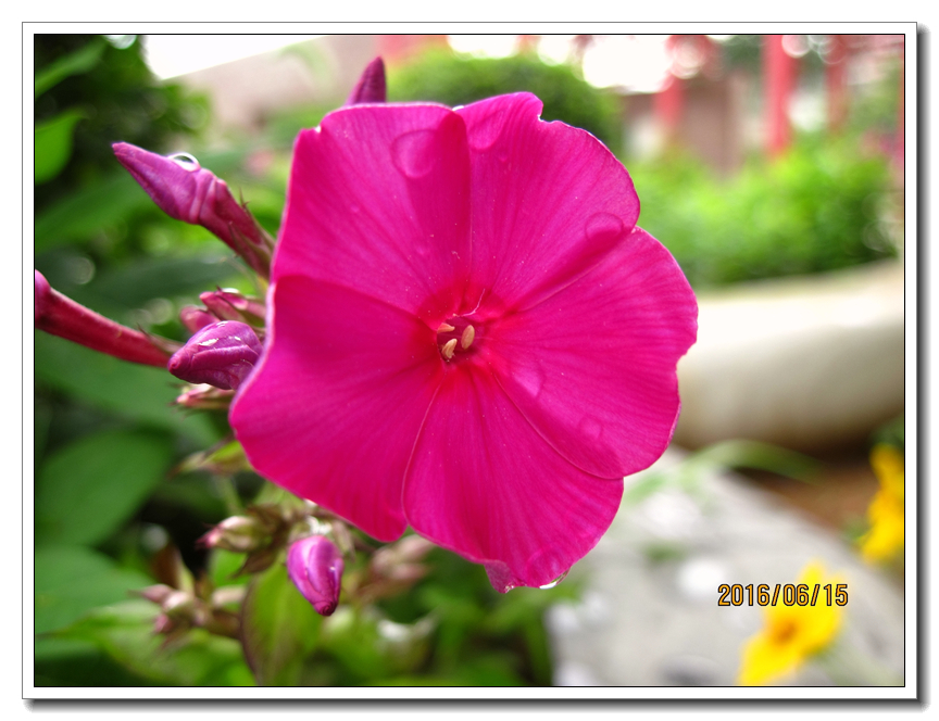 【行行摄摄】好久没用小a了