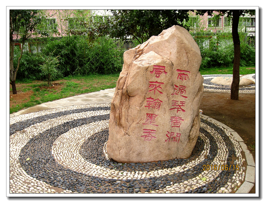 【行行摄摄】好久没用小a了