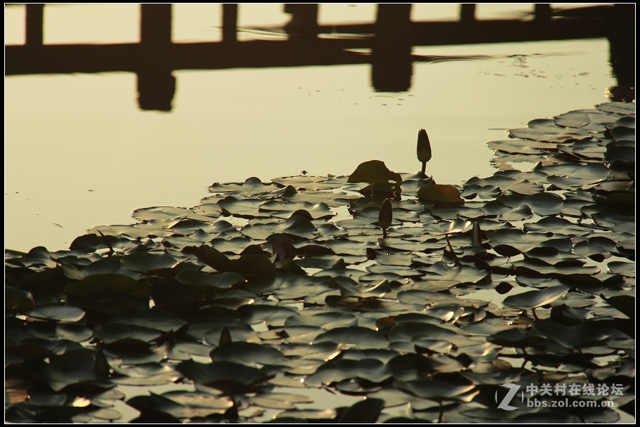红藕香残玉簟秋
