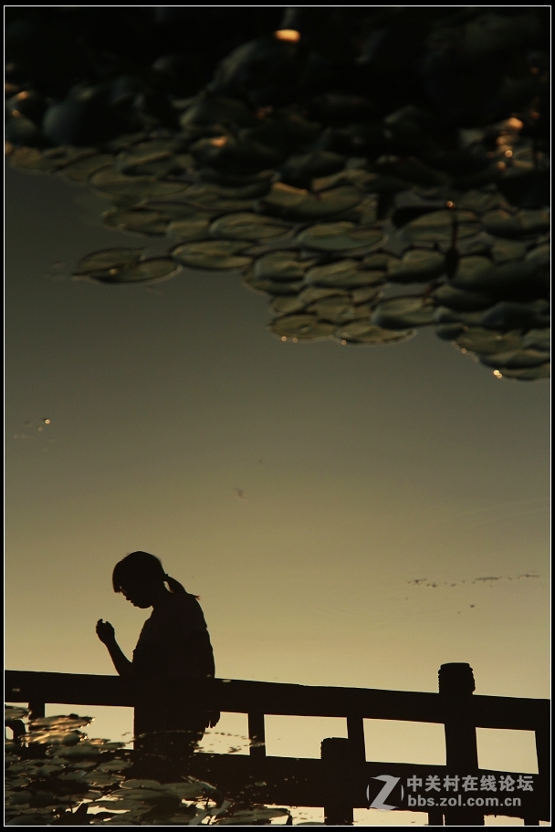 红藕香残玉簟秋