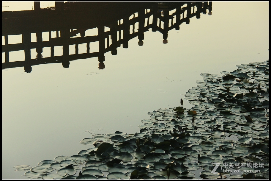 红藕香残玉簟秋