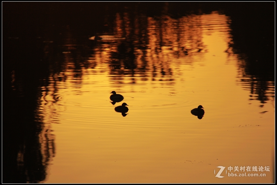 红藕香残玉簟秋