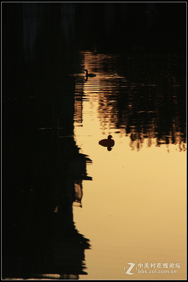 红藕香残玉簟秋