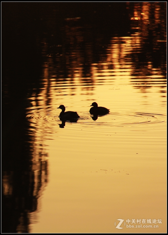 红藕香残玉簟秋