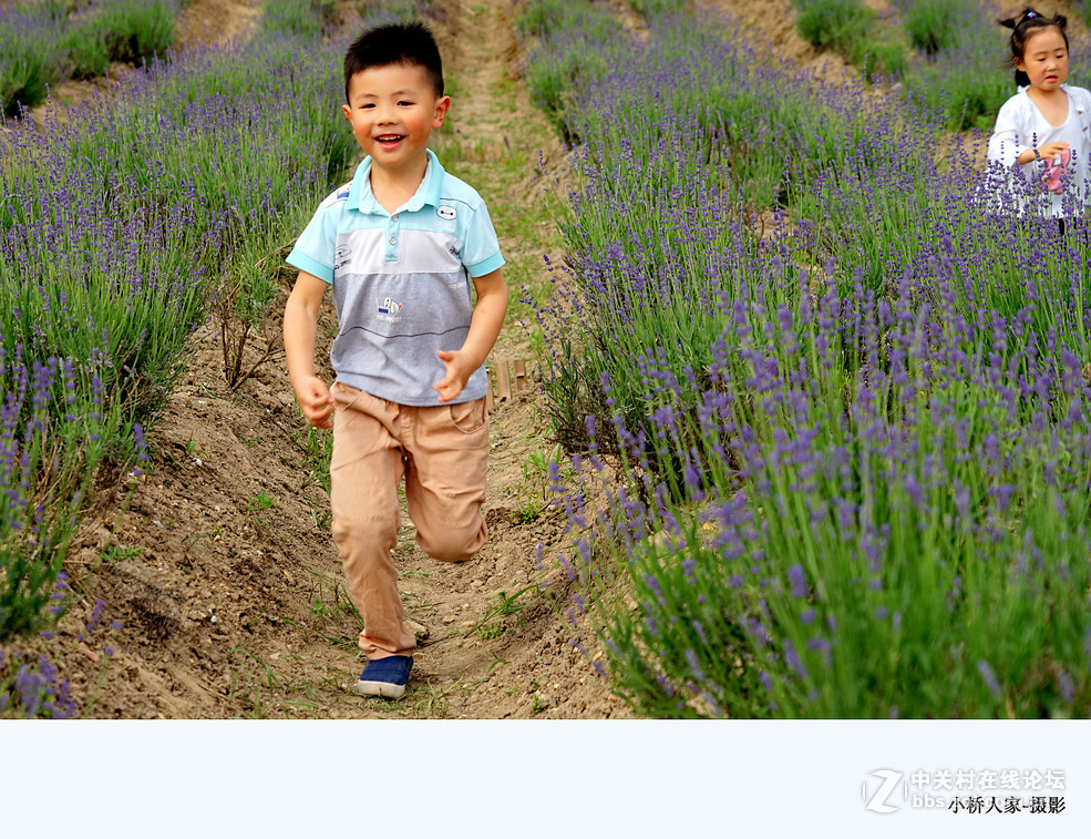 上海香草园的萌娃们
