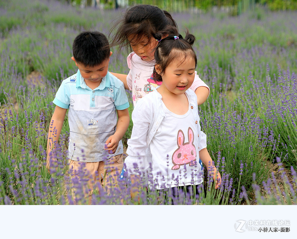 上海香草园的萌娃们