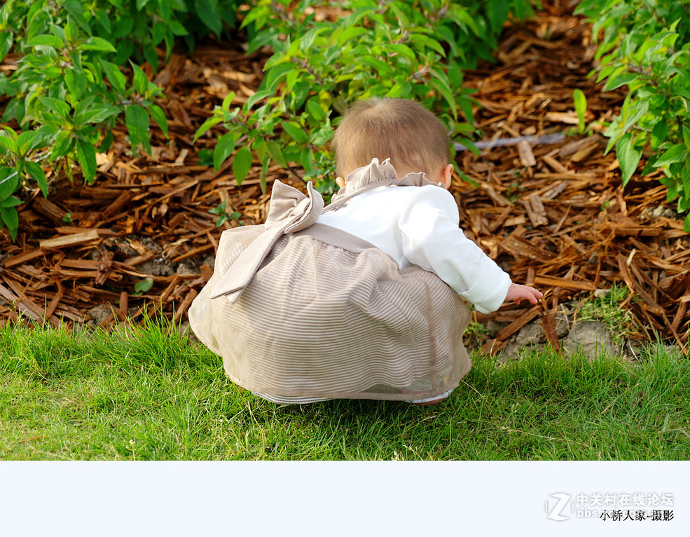 上海香草园的萌娃们