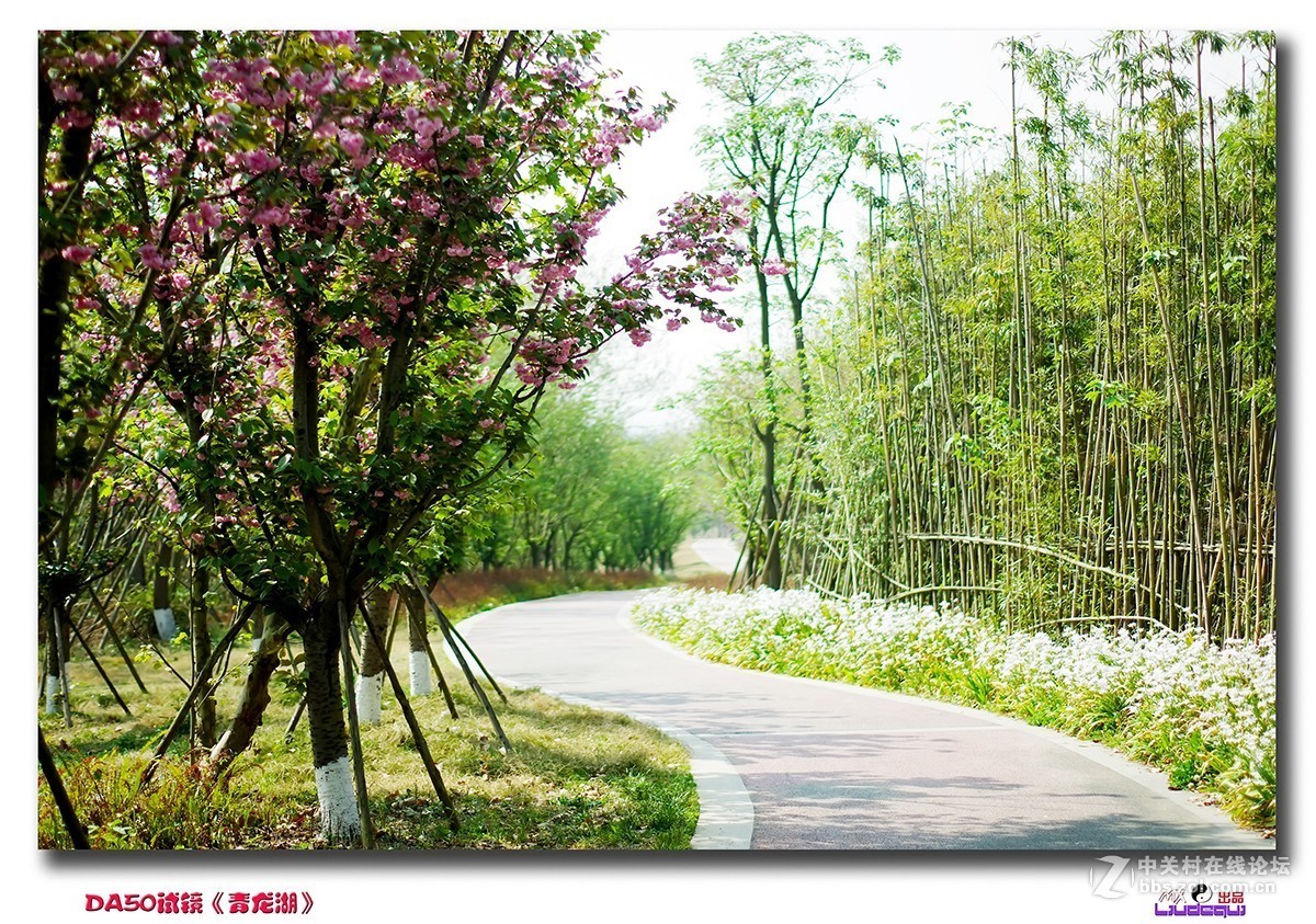 DA50试镜成都《青龙湖》