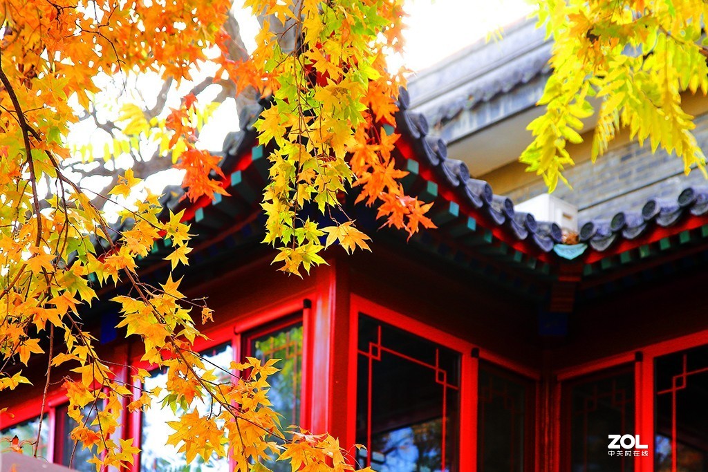 #ZOL月赛晒秋#秋到大觉寺