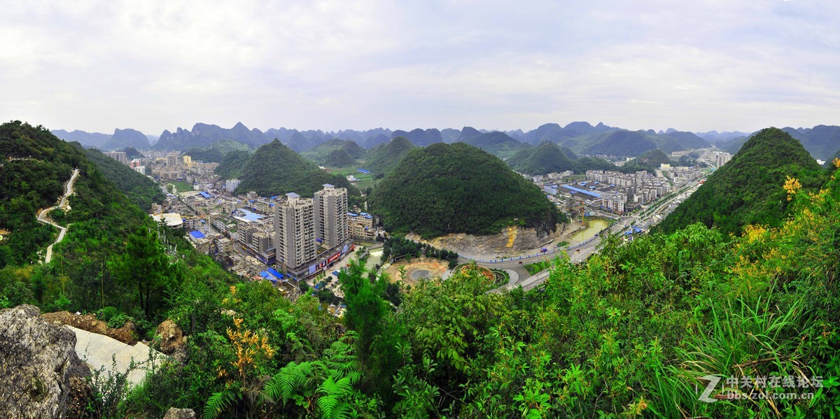 一组杂片