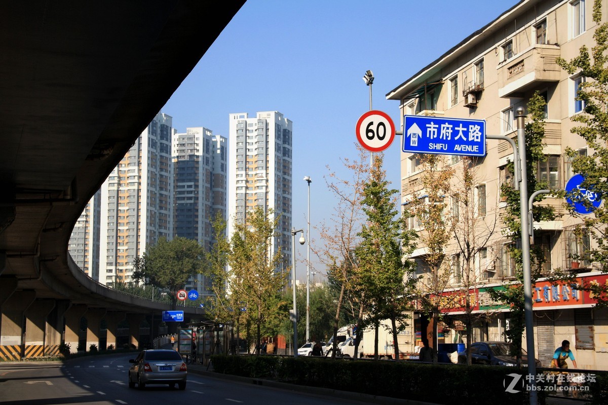 市府大路随拍影--------2015.10.14日 沈阳市府大路行摄 随拍 早自习 分享